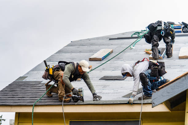 Professional Gutter Installation technician working in Astor, FL
